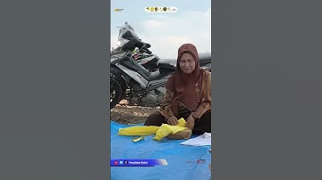 Lahan CSR Sudah Siap Tanam Kab.Tapin Segera Bentuk Brigade Pangan 2025