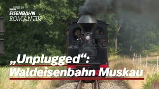 "Unplugged": Waldeisenbahn Muskau- Dampfbahn Route Sachsen | Eisenbahn-Romantik