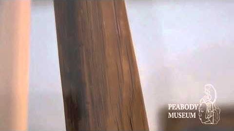 Early Native American Bow