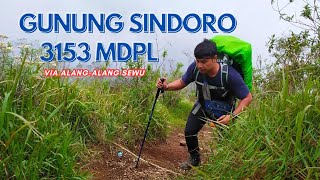 Vlog pendakian Gunung Sindoro 3153 MDPL - Via Alang-Alang Sewu #pendakigunung #gunungsindoro #vlog