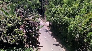 CCTV VIDEO date 29 august afternoon  cctv live | footages | security | news | home | how | to | screenshot 5