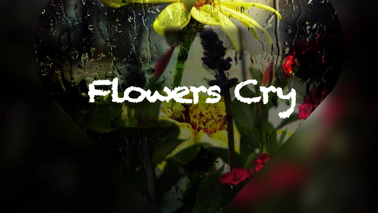 Flowers Cry, No they don't or Do they? YouTube