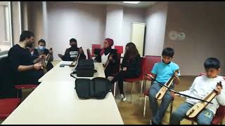 Dam Başinda Sari Sari Kediler