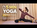 5 Min Full Body Stretch  Quick Yoga Routine for Beginners