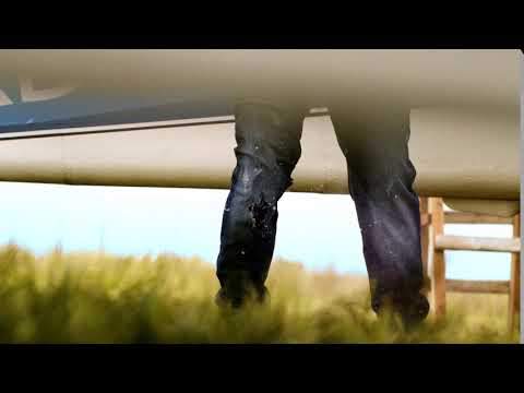 Leal - Solo hay una forma de vivir - Solo en cines