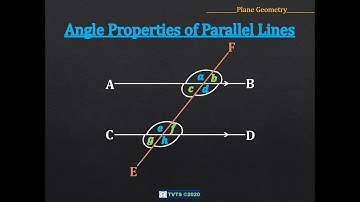 Plane Geometry _ Angle Properties of Parallel Lines