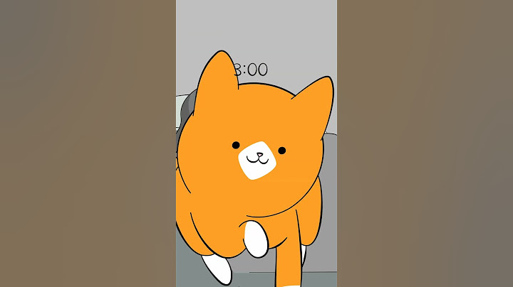 Giornata tipica del mio gatto.