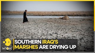 Is Iraq's 'Garden of Eden' lost forever? | WION Climate Tracker | World News