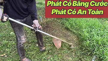 Phát Cỏ Bằng Cước - Máy Phát Cỏ Balô @AnhCắtCỏ #anhcatco