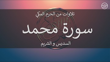 47 | سورة محمد | السديس و الشريم