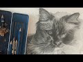 Speed pencil drawing: Finn the cat pet portrait
