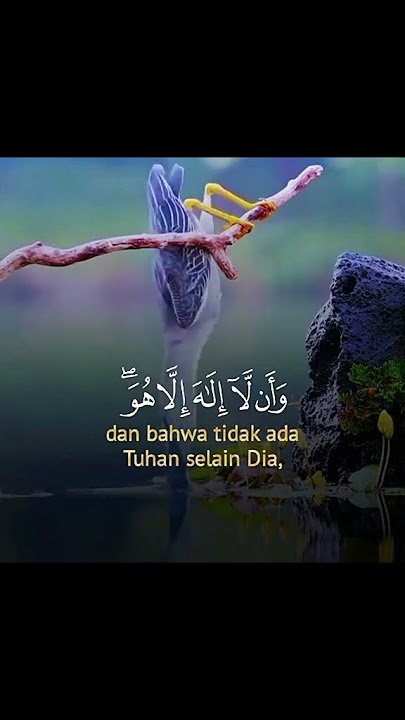 #allah #katakatabijakalibinabuthalib #sholawat #fromkatabijak #alquran #selfreminder