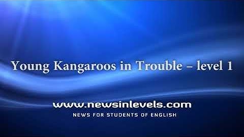 Young Kangaroos in Trouble – level 1