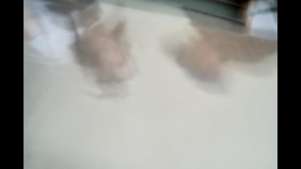 A conversation with the paper makers from Atelier Retailles - Paperology RAG