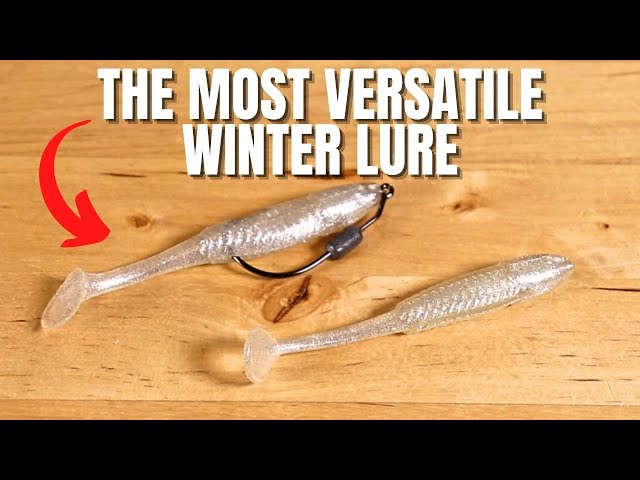 The Most Versatile Lure For Fishing In Winter 