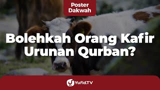 Hukum Non Muslim Ikut Qurban Sapi Kolektif - Poster Dakwah Yufid TV