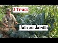 3 Trucs à faire en Juin au Jardin