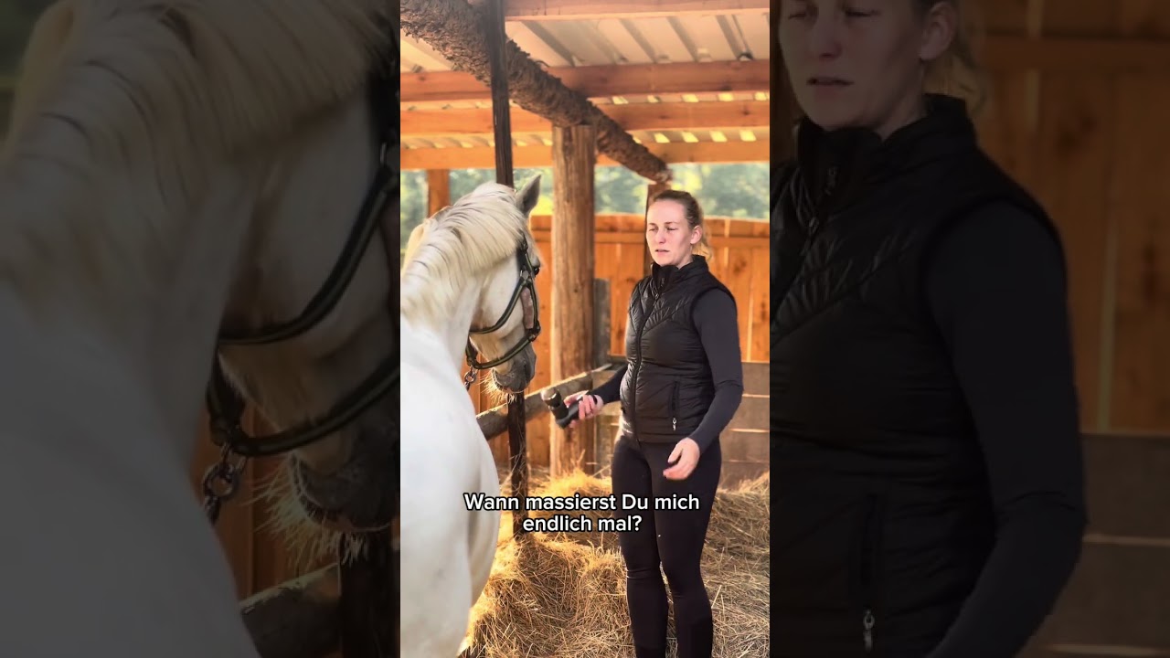 Pferd, gib doch mal was zurück!