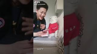 Tiktok Funny viral video on YouTube, Animal Love Tiktok Star. screenshot 1