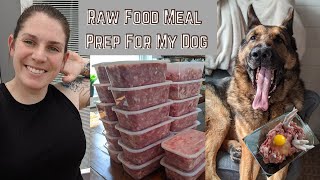 How I Feed My Dog a Raw Food Diet | Way easier and cheaper than you think!