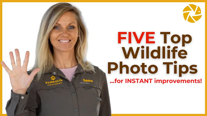 INSTANTLY IMPROVE Your Wildlife Photography!