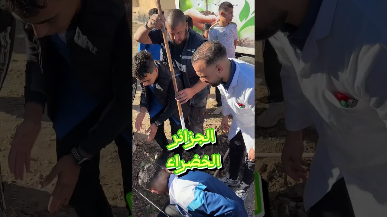 حملة تشجير  في المتوسطة الجديدة ق7 مروانة ولاية باتنة . #الجزائر_الخضراء  .ولاية #باتنة