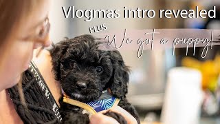 VLOGMAS 2020 DAY 1 - WE GOT A PUPPY AND VLOGMAS INTRO REVEALED!! by Mrs Henderson & Co 216 views 3 years ago 13 minutes, 54 seconds