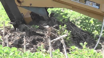 SCN (Soybean Cyst Nematode) #851 (Air Date 7/27/14)