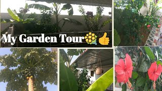 My kitchen Garden Tour/Tips & Ideas/How to maintain plants & vegetables around Home