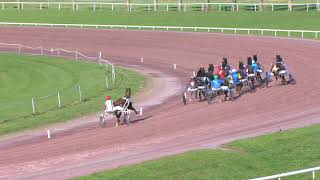 Vidéo de la course PMU PRIX DES PONEYS NORDIQUES