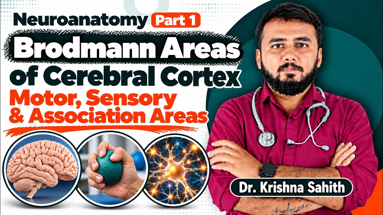 Brodmann Areas Of Cerebral Cortex (Part - 1) 🧠Motor, Sensory ...