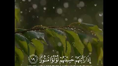 (( ويطوف عليهم ولدانٌ مُخلّدون إذا رأيتهم حسبتهم لؤلؤًا منثورًا )) من سورة الانسان #احمد_النفيس