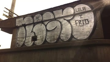 Negro Escandaloso forever