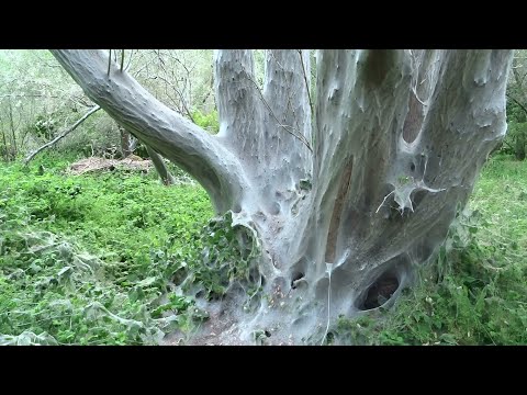 ผลสลากกินแบ่งรัฐบาล วันที่ 1 พย. 2567