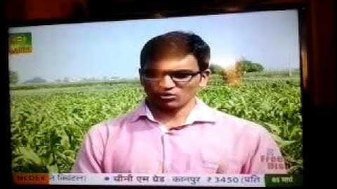 My Interview on DD Kisan