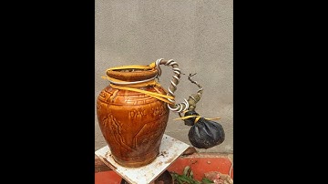 Hướng dẫn kỹ thuật trồng lộc vừng từ rễ!!