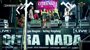 TAMU KONDANGAN ~ ALL ARTIS || CITRA NADA LIVE DS.SEKARDOJA 1 (BLOK TURUNAN KENCENG) || LARANGAN