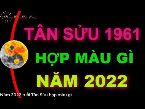 1961 Hợp Màu Gì - Tuổi Tân Sửu 1961 hợp màu gì năm 2022 để mang đến Tài Lộc