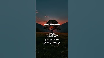 ما تيسّر من سورة الأحزاب بصوت القارئ الشيخ علي عبد الرحمن الأحمدي #القرآن_الكريم #quran