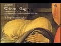 J. S. Bach - &quot;Weinen, Klagen...&quot; ( BWV 12, 38, 75) - Ph. Herreweghe