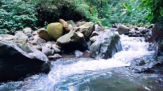 🔴River Ambience with Soft Echo | Meditative Flow for Deep Sleep