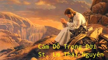 THÁNH CA - CÁM DỖ TRONG ĐỜI |DIỆU HIỀN|