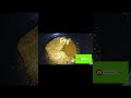freez chicken brost by widow life vlogs 786
