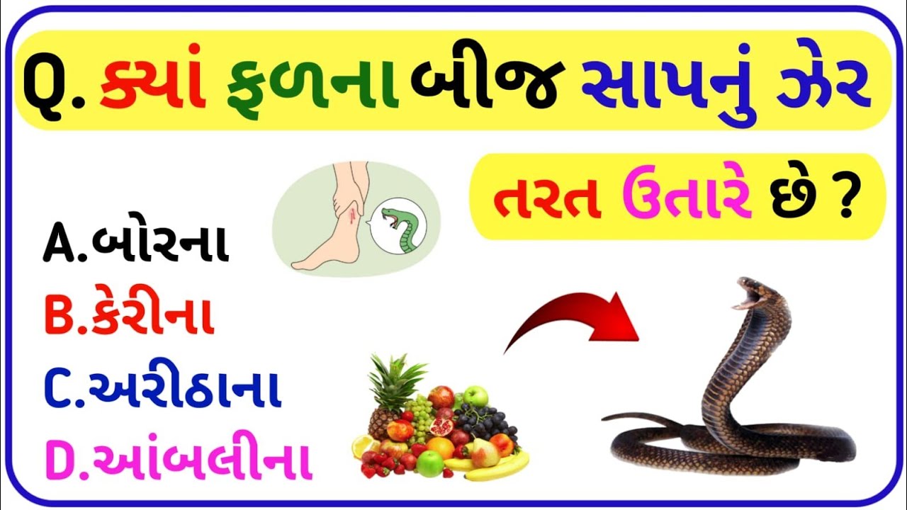 જનરલ નૉલેજ ક્વિઝ ✅🎯 || GK QUIZ || GK QUESTIONS || GK || GK QUESTIONS AND ANSWERS || GK IN GUJARATI