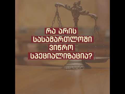ვიწრო სპეციალიზაციების ფორმა საერთო სასამართლოების სისტემაში