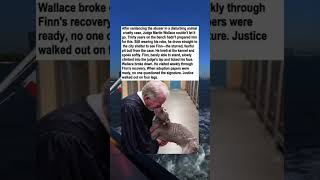 Judge Sentenced His Abuser… Then Adopted the Dog He Saved 🥺🐶