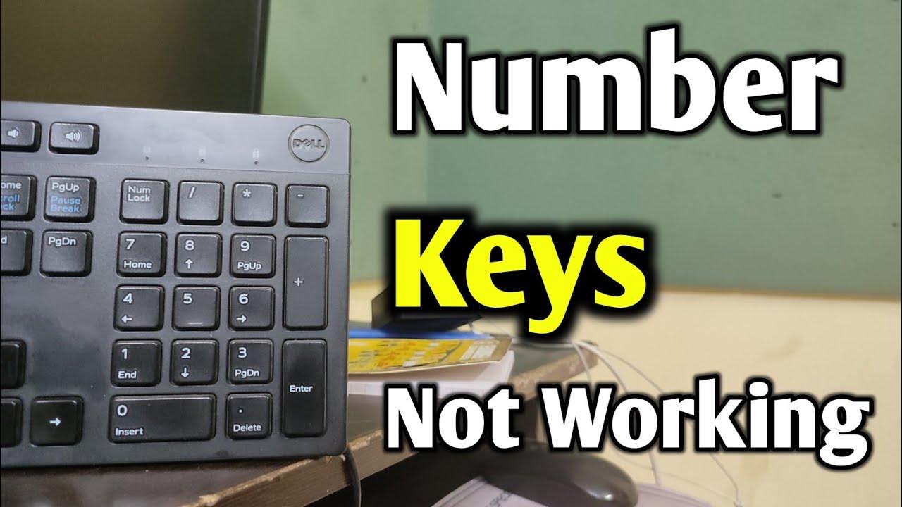 Number Key Is Not Working In Keyboard Keyboard Number Keys Not