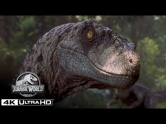 The Best Velociraptor Scenes in 4K HDR | Jurassic World class=