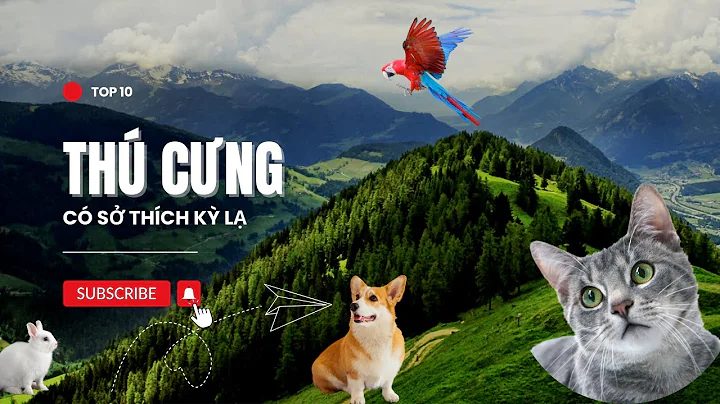 Top 10 Thú Cưng Có Sở Thích Kỳ Lạ #top10 #animals #petslover #cuteanimal #pets
