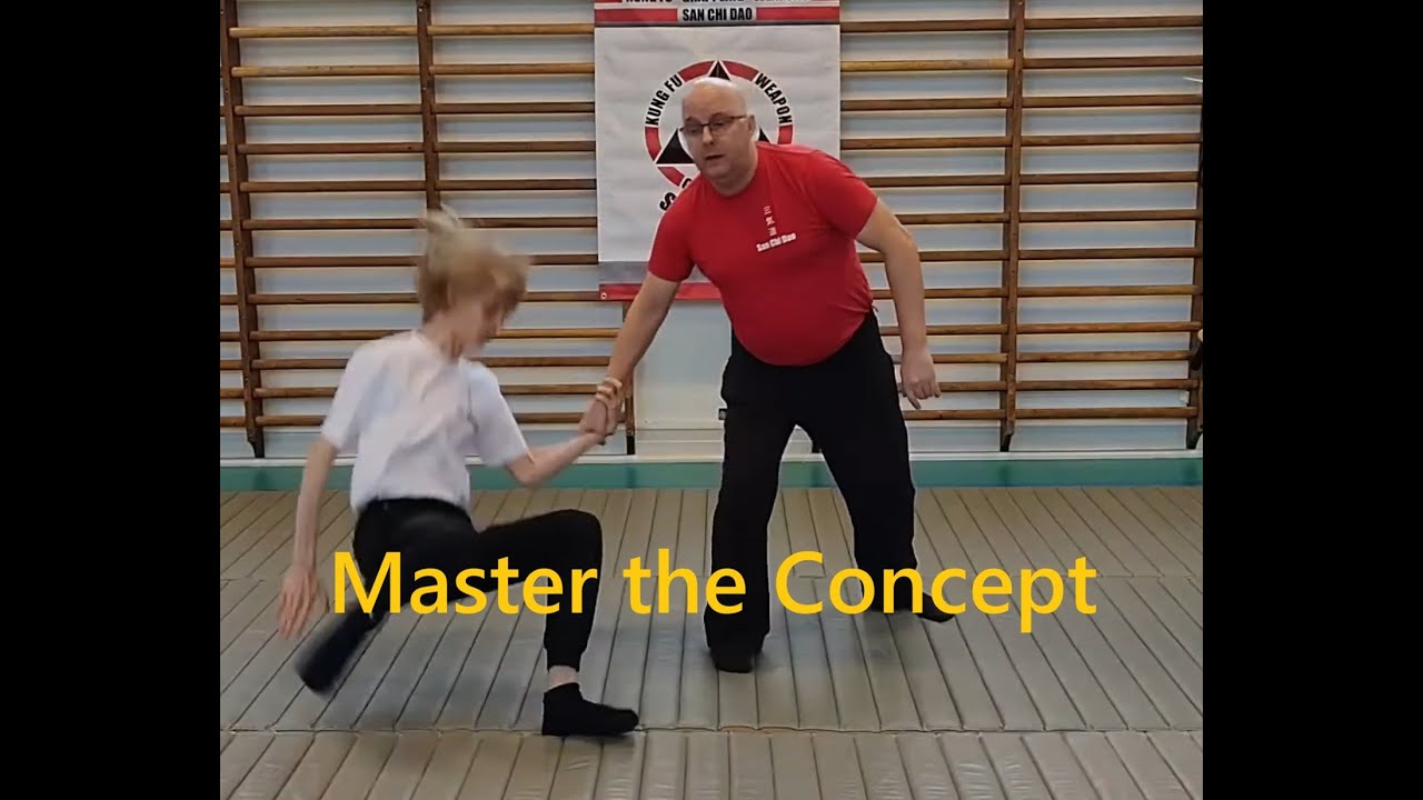 Концепция Сан Чи Дао!